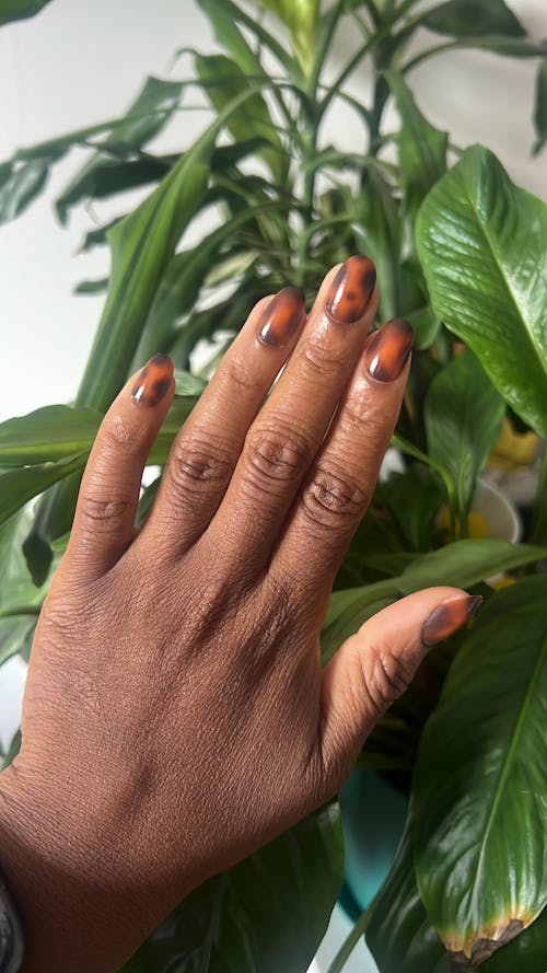 Tortoiseshell - Soft Gel Press Ons (Short Oval)