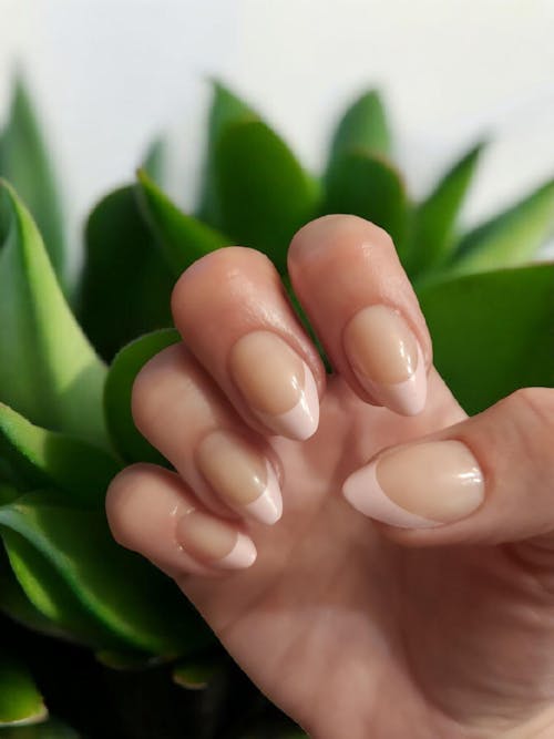 Pink French Mani - Soft Gel Press Ons (Short Almond)