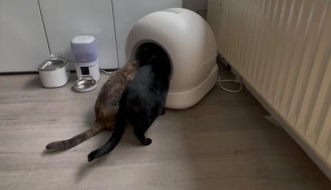 Hombli Smart Cat Litter Box with Camera