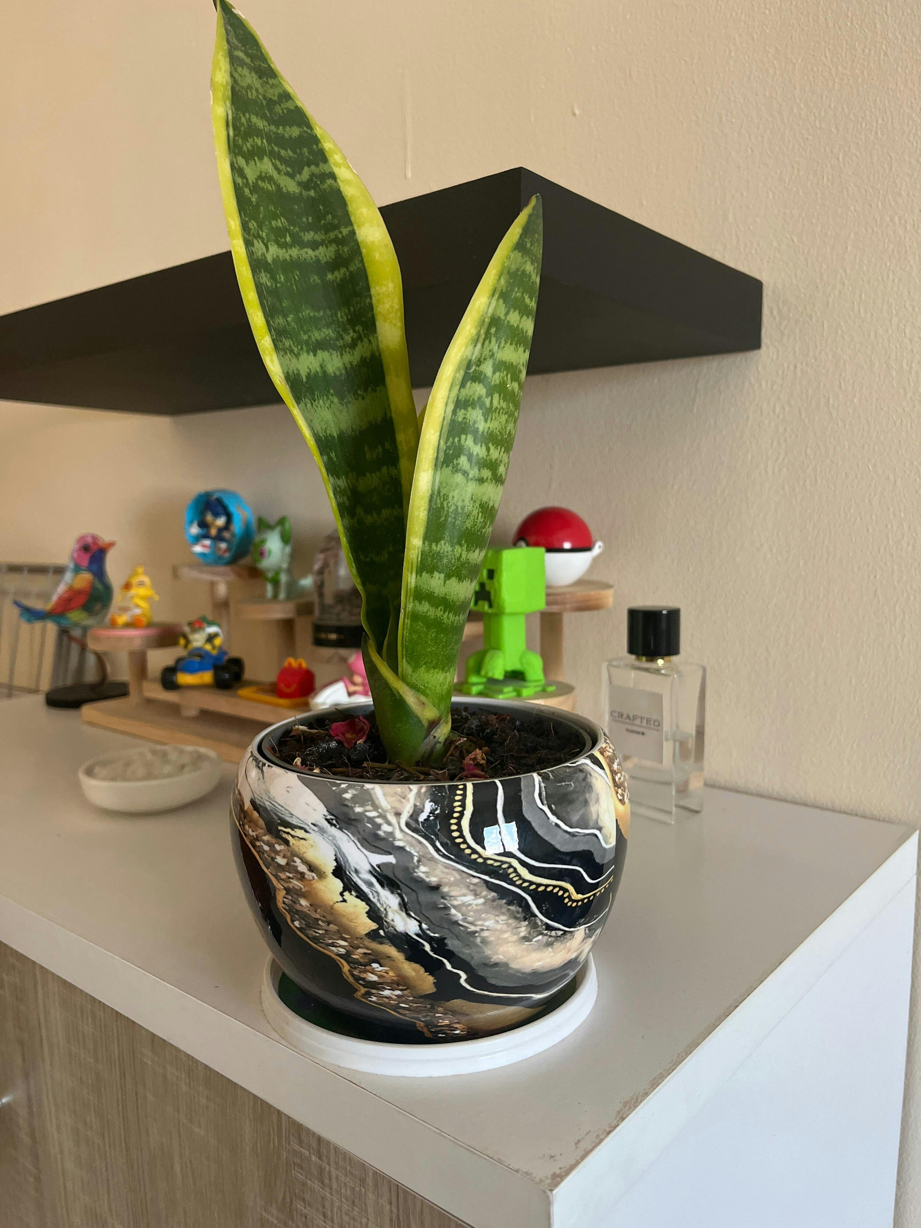 Black Marble Gold Indoor Metal Planter with Stand [6 Inches