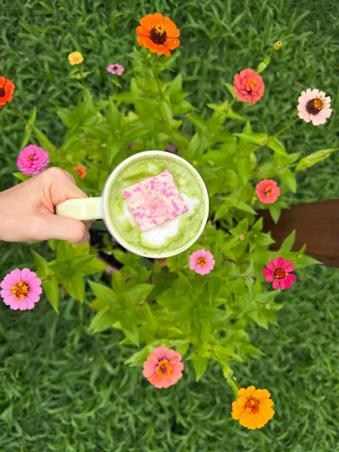 Monarch Matcha™