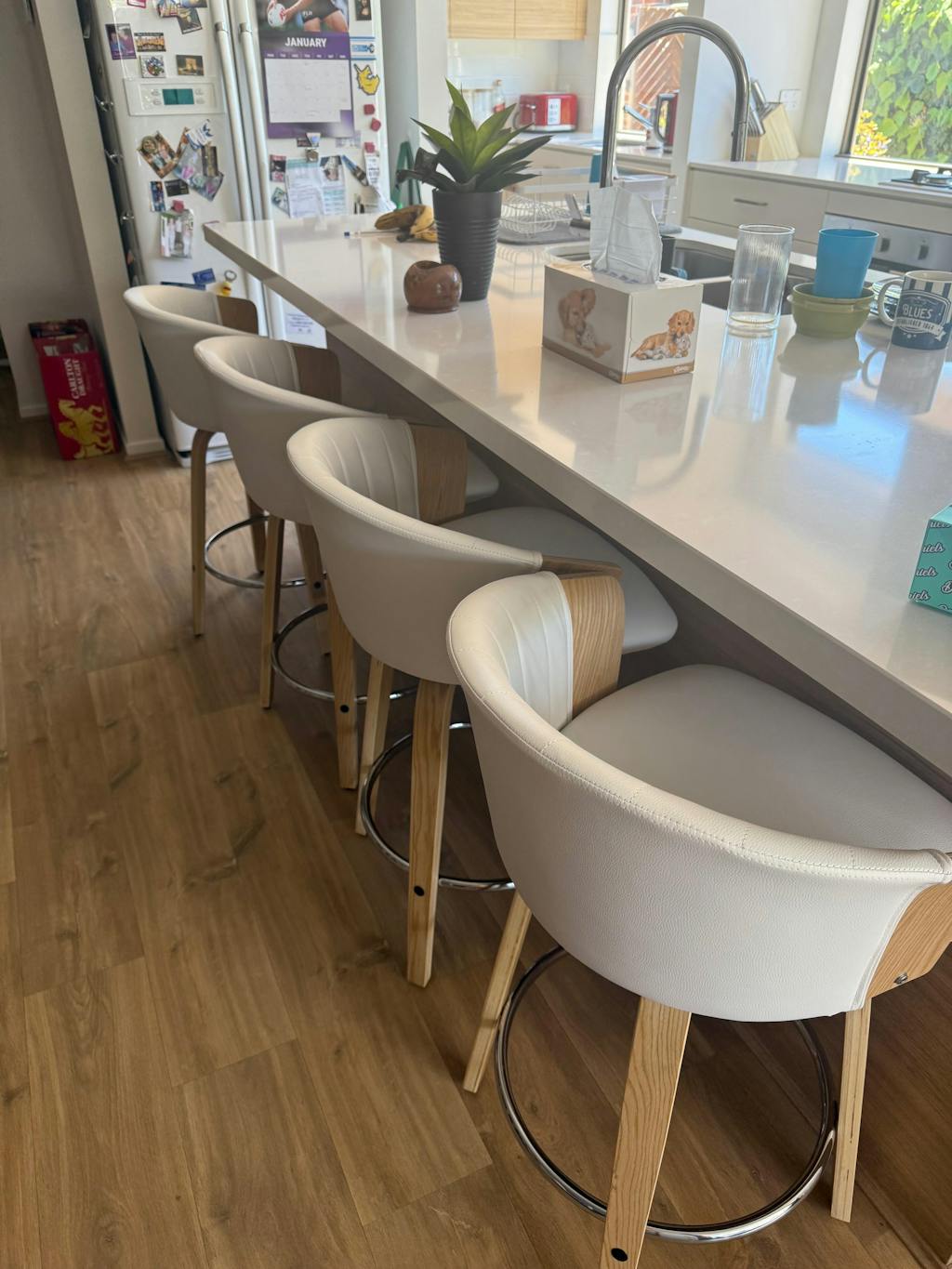 Olivia (Set of 4) Bentwood Bar Stools - White