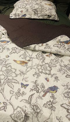 Bird Coverlet