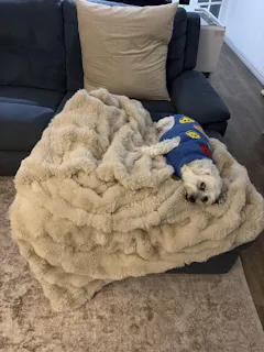 Cream Faux Fur Blanket