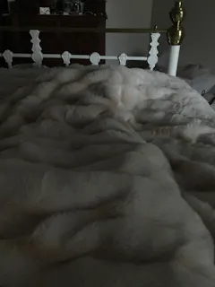 Snow Faux Fur Blanket