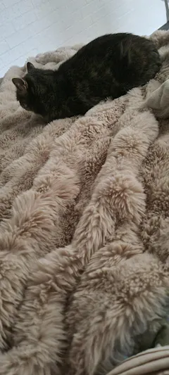 Smokey Faux Fur Blanket