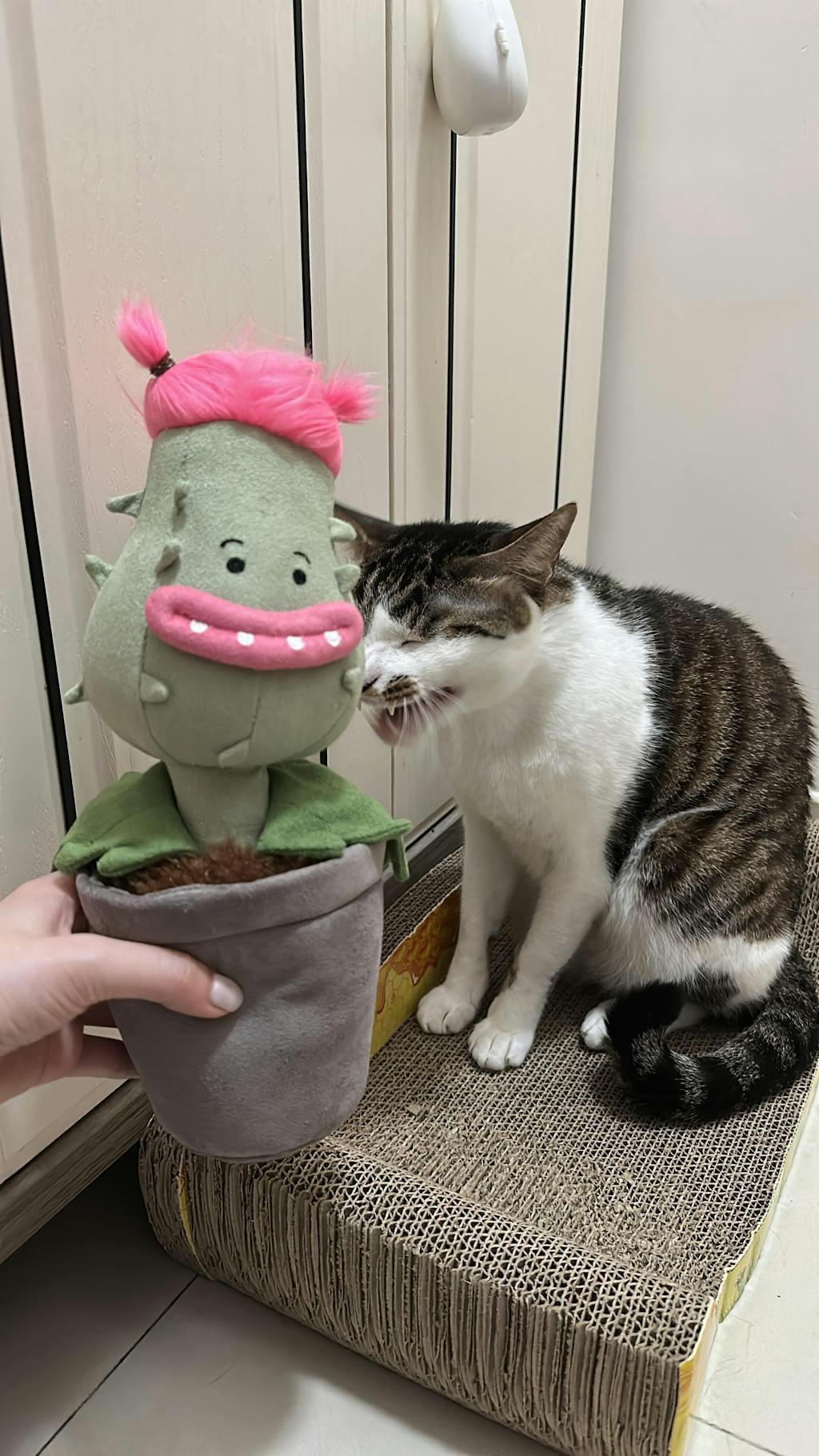 Jellycat 食人花盆栽 | Carniflore Priscilla 29cm