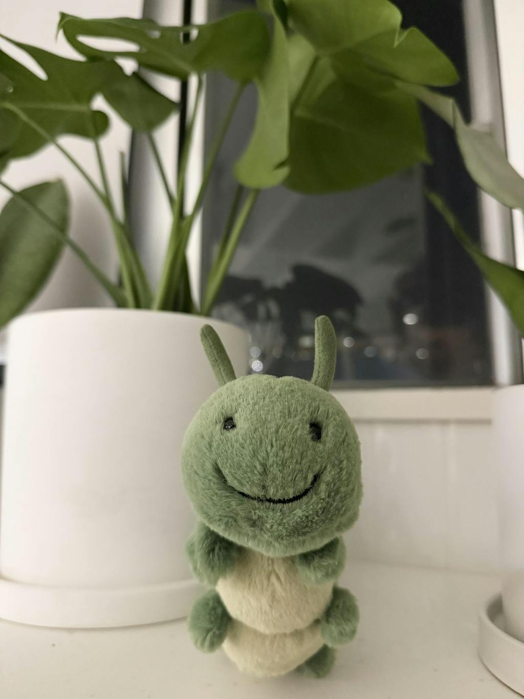 Jellycat 毛毛蟲| Carys Caterpillar 24cm