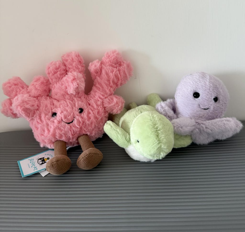 Jellycat 小珊瑚 | Amuseables Coral 14cm