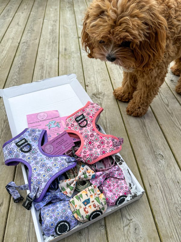 Honey and Biscuit Boutique Gift Card