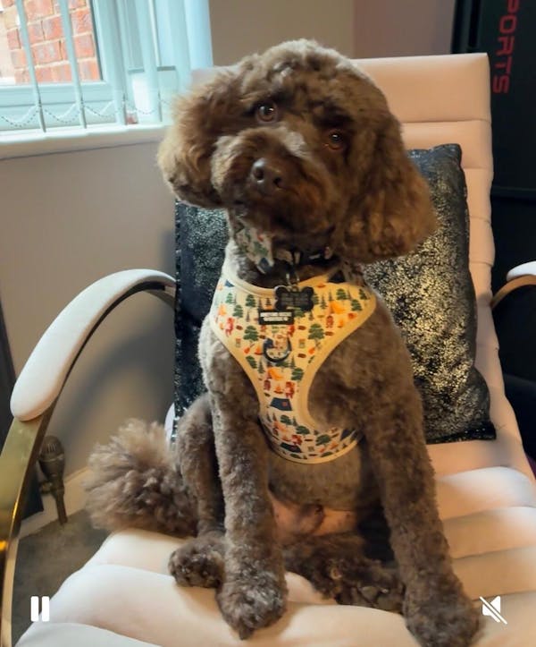 Honey And Biscuit Boutique