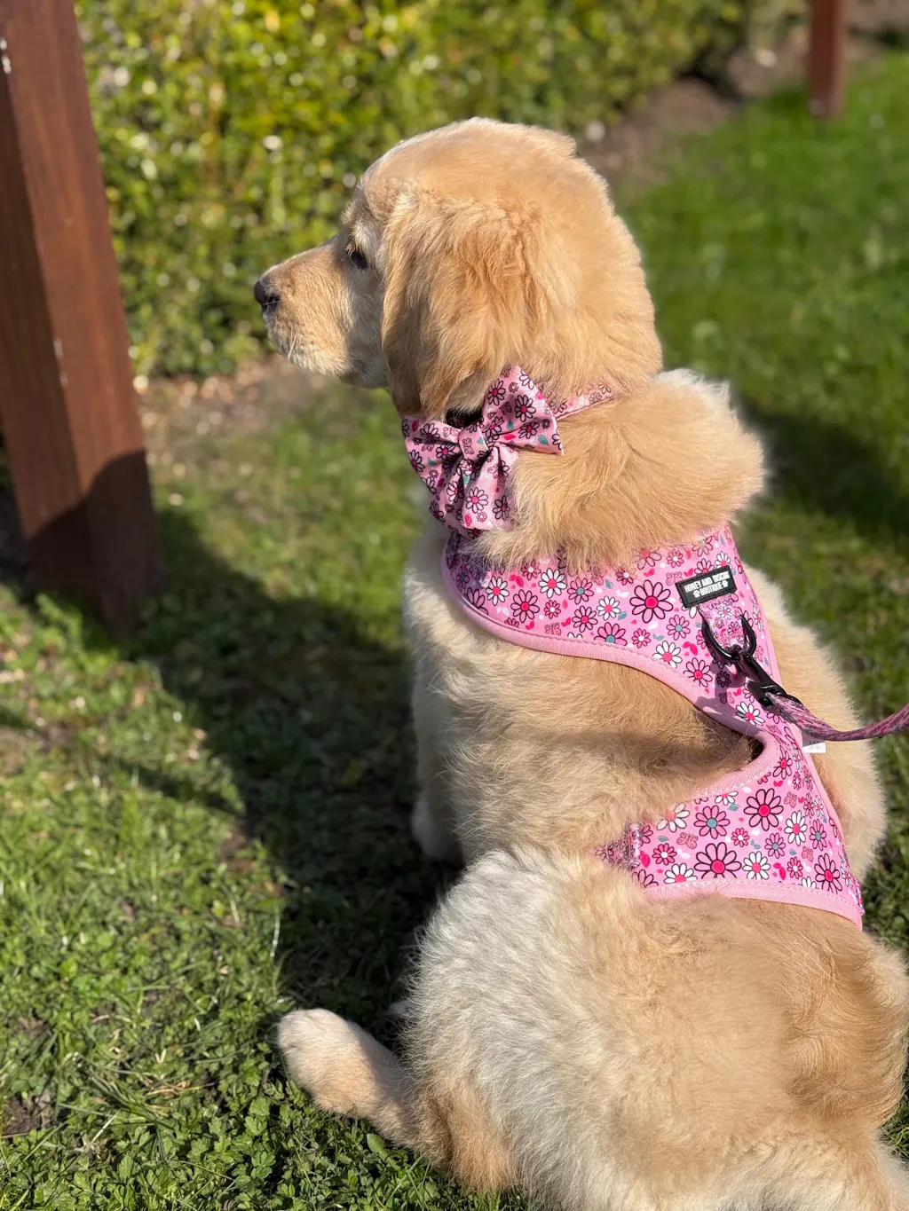 Honey And Biscuit Boutique