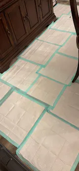 HoneyCare® Dog and Puppy Training Pads