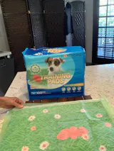 HoneyCare® Dog and Puppy Training Pads with Printed Grass