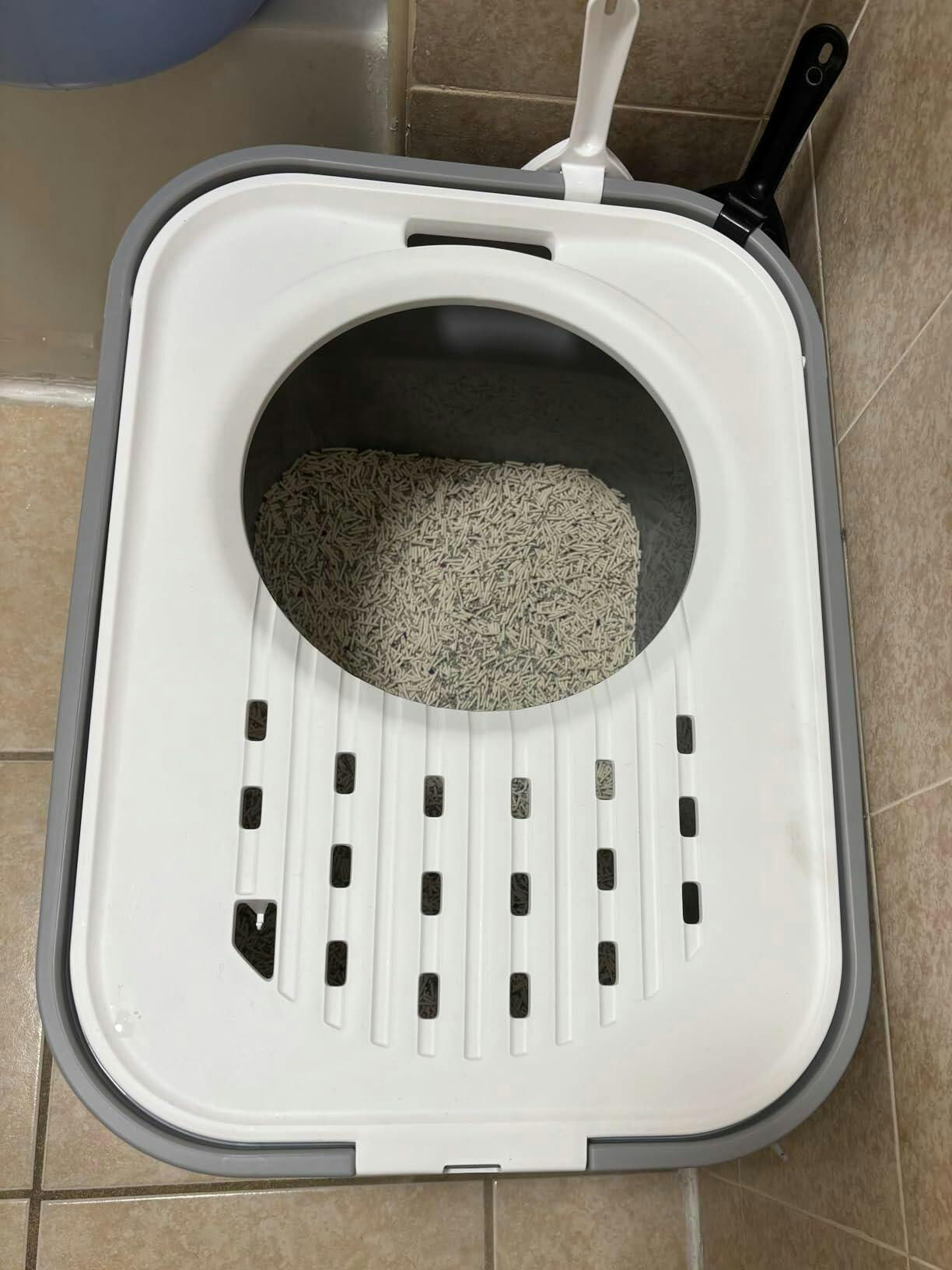 Petrichor Cat Litter Pellets｜HoneyCare® – Honeycare