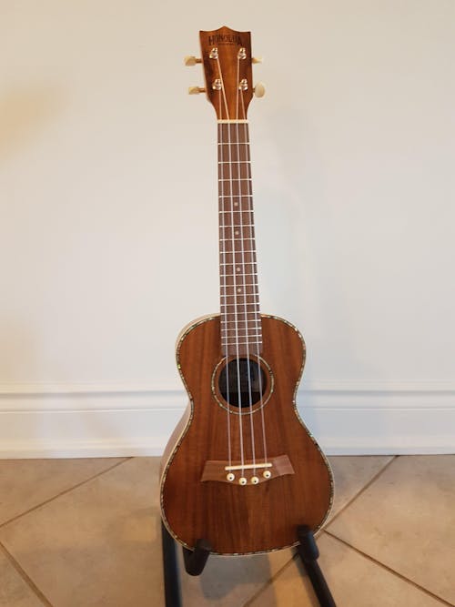 Kohala Deluxe Solid Top Concert Ukulele