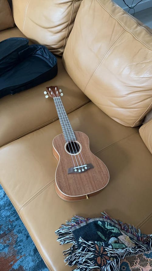 Mano Solid Top Concert Ukulele