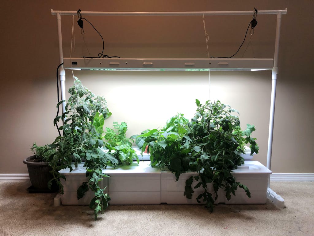 Hope Innovations | Indoor Gardening Systems