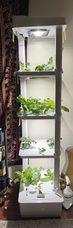 Basic Eden Tower