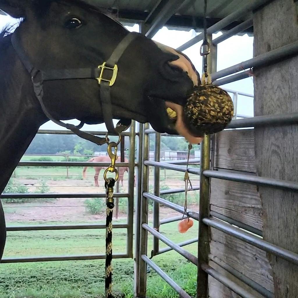 Horse & Herd Nutritional Lick Treat Pink Salt Electrolyte Blend