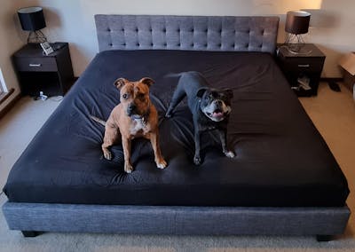 Bed Frame (Super King, King, Queen, Double) - Grayson Bed Frame