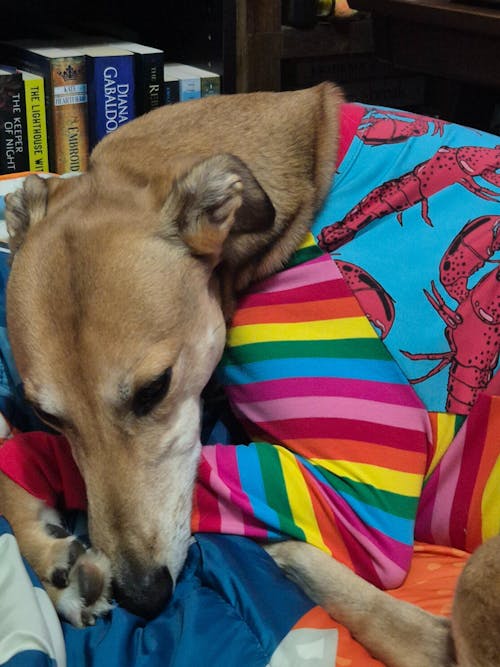 Rock Lobster Greyhound Long Sleeve Hound-Tee
