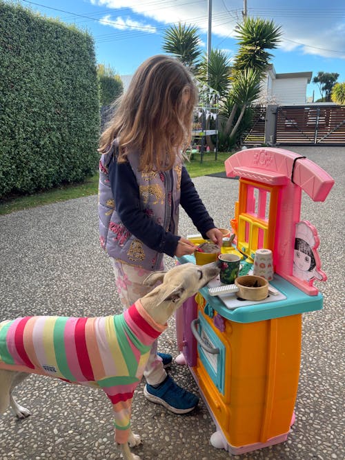 Raspberry Sorbet Whippet Long Sleeve Tweater