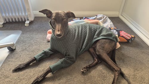 Emerald Greyhound Quilted Sweater