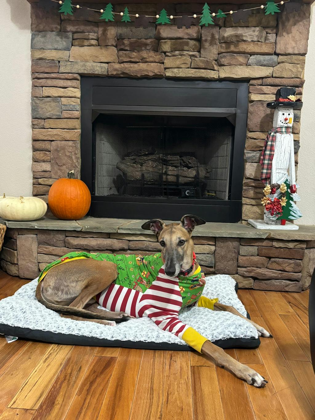 Snootmas Express Greyhound Long Sleeve Hound-Tee