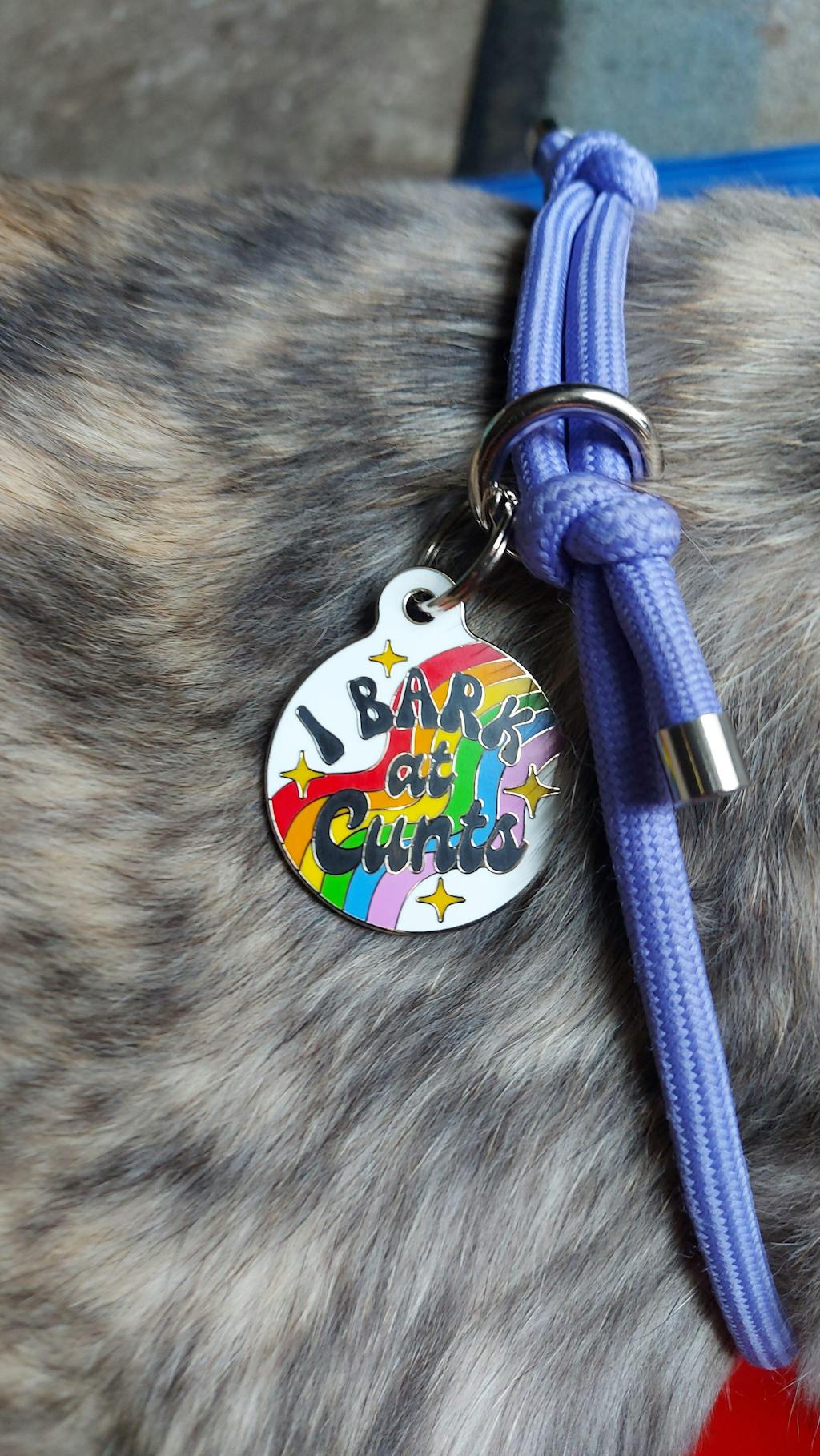 Bad Tags "I Bark at C's Rainbow"