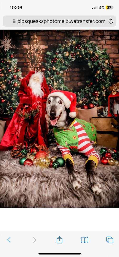 Snootmas Express Greyhound Long Sleeve Hound-Tee