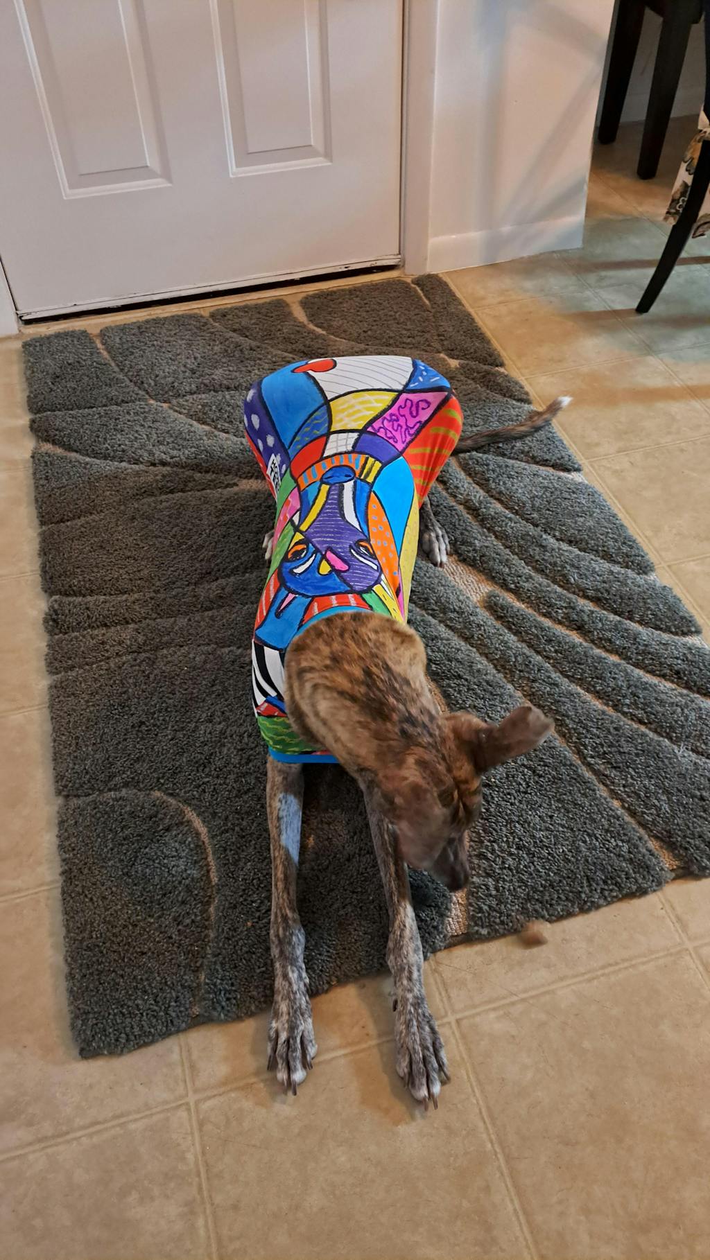 Patchwork Amy Greyhound Sleeveless Hound-Tee