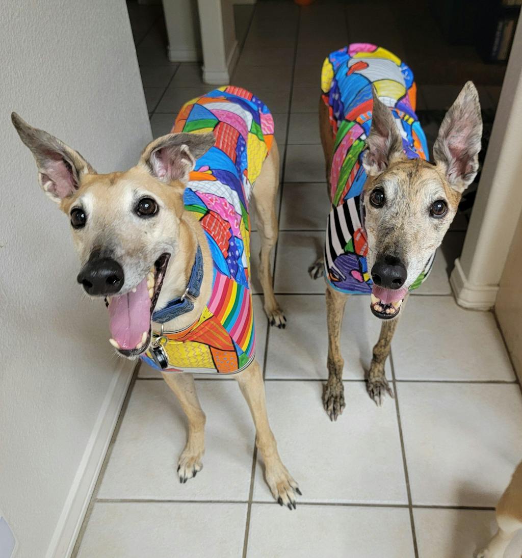 Patchwork Amy Greyhound Sleeveless Hound-Tee