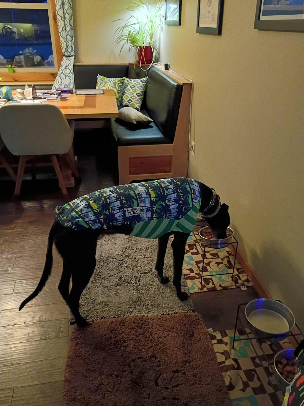 Palm Beach Greyhound Sleeveless Hound-Tee