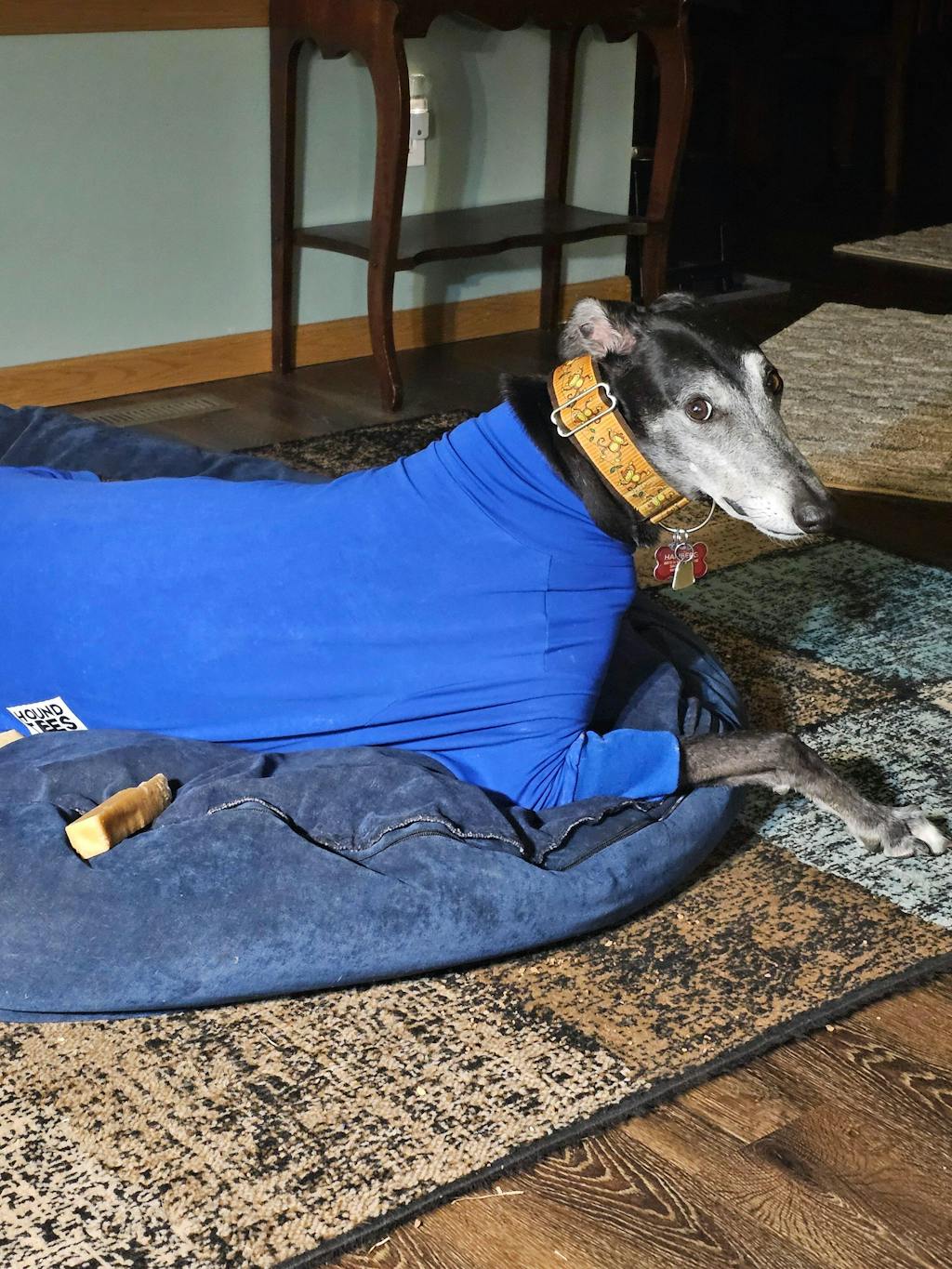 Blueberry Greyhound Long Sleeve Tweater