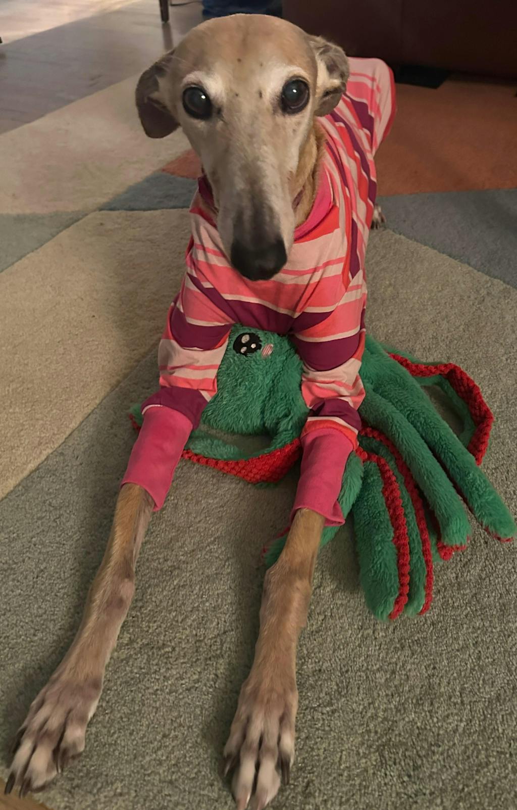 Dolly's Tee Pink Greyhound Long Sleeve Hound-Tee