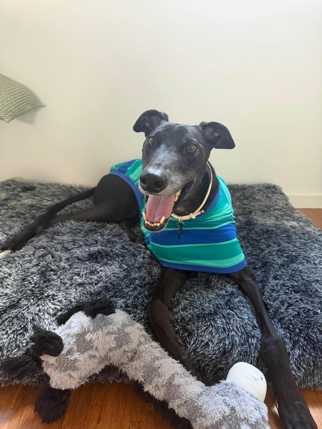 Dolly's Tee Teal Greyhound Sleeveless Hound-Tee