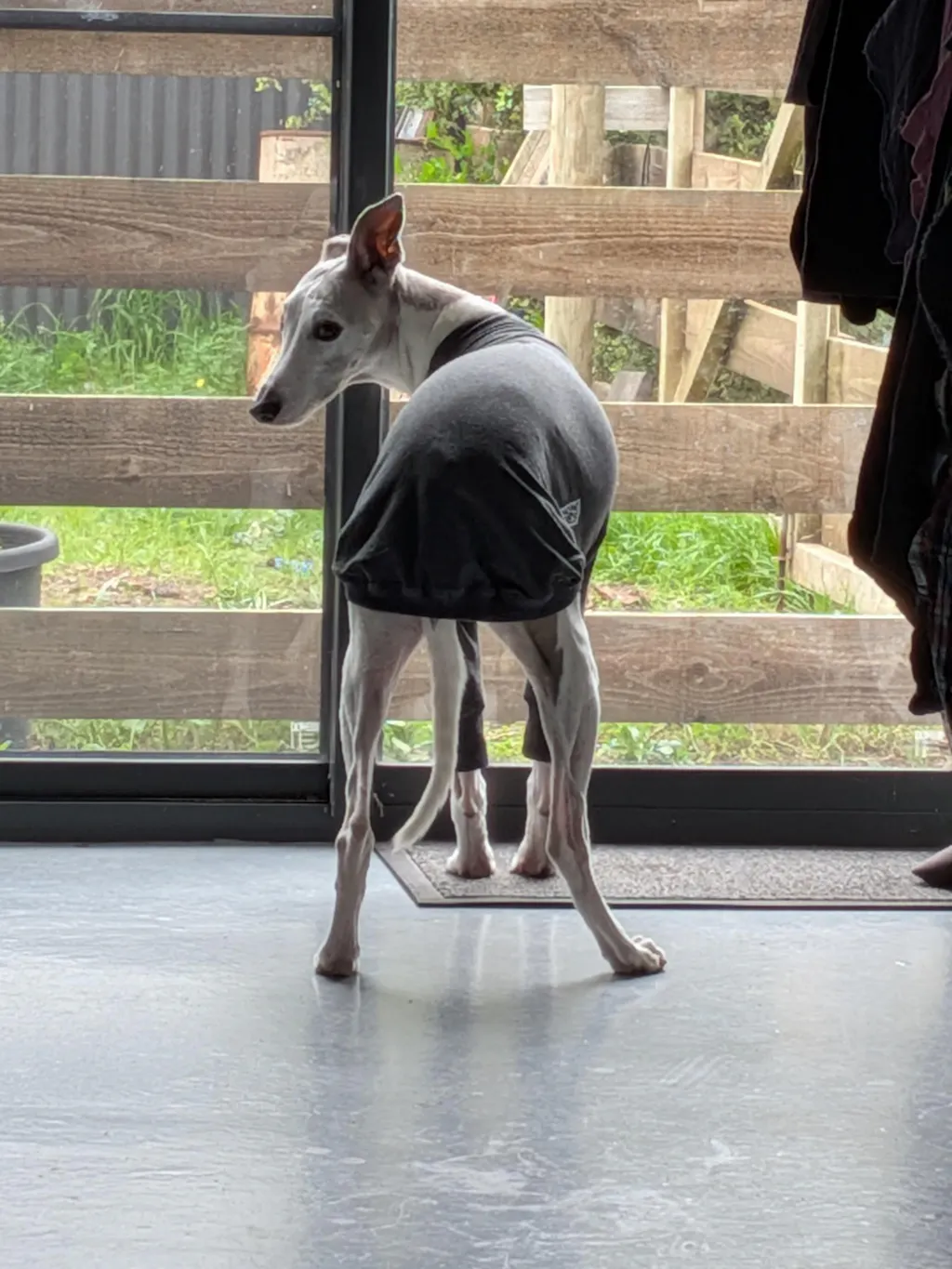 Mercury Whippet Long Sleeve Tweater