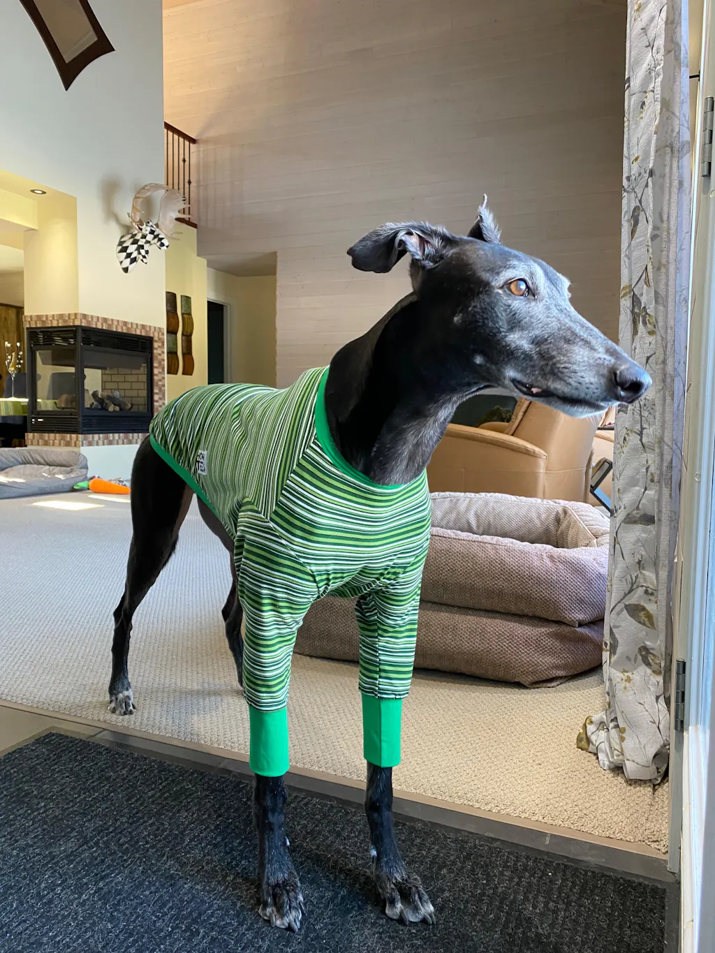 Humbug Greyhound Long Sleeve Hound-Tee