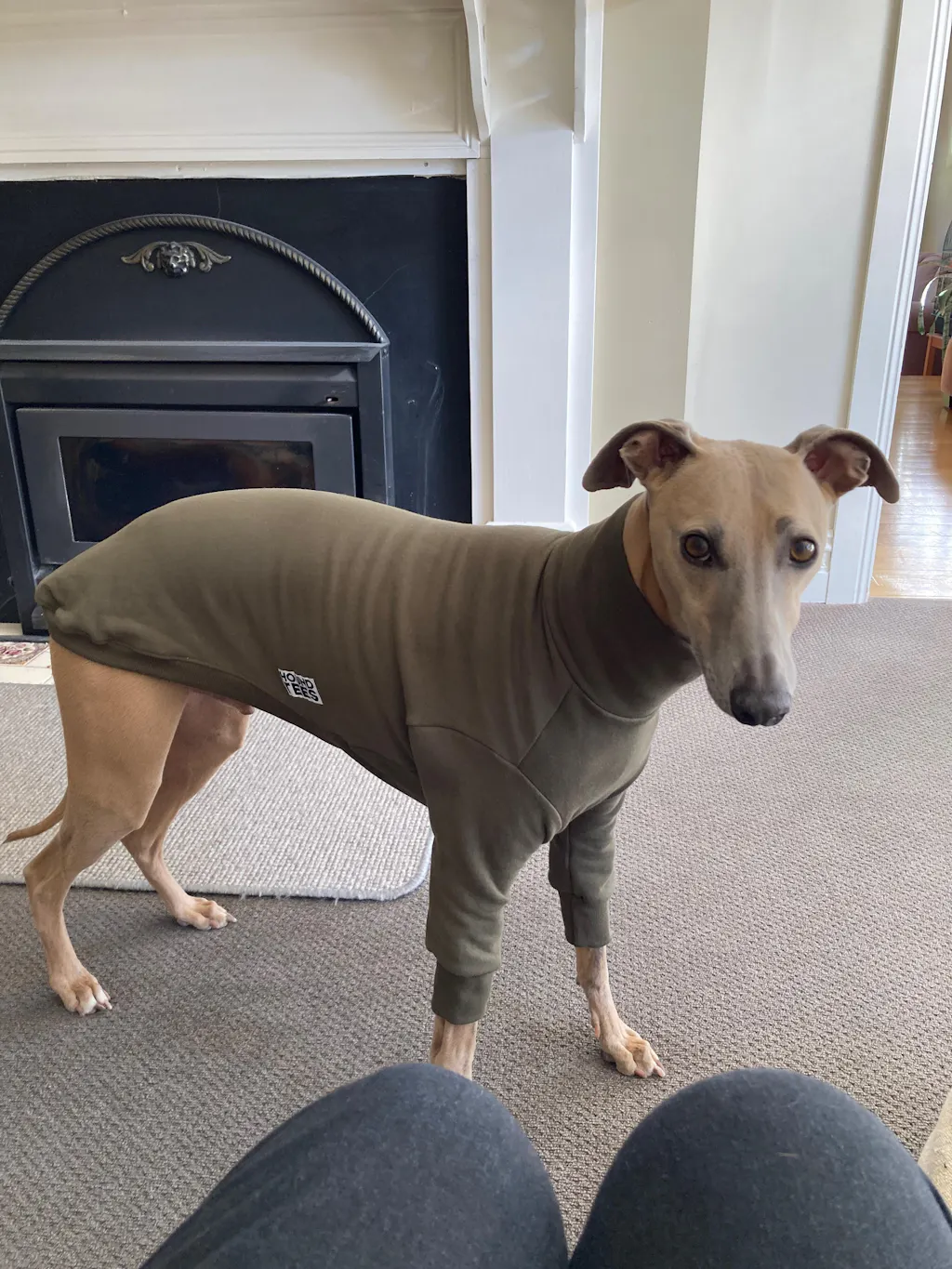 The Greyt Outdoors Whippet Sweater