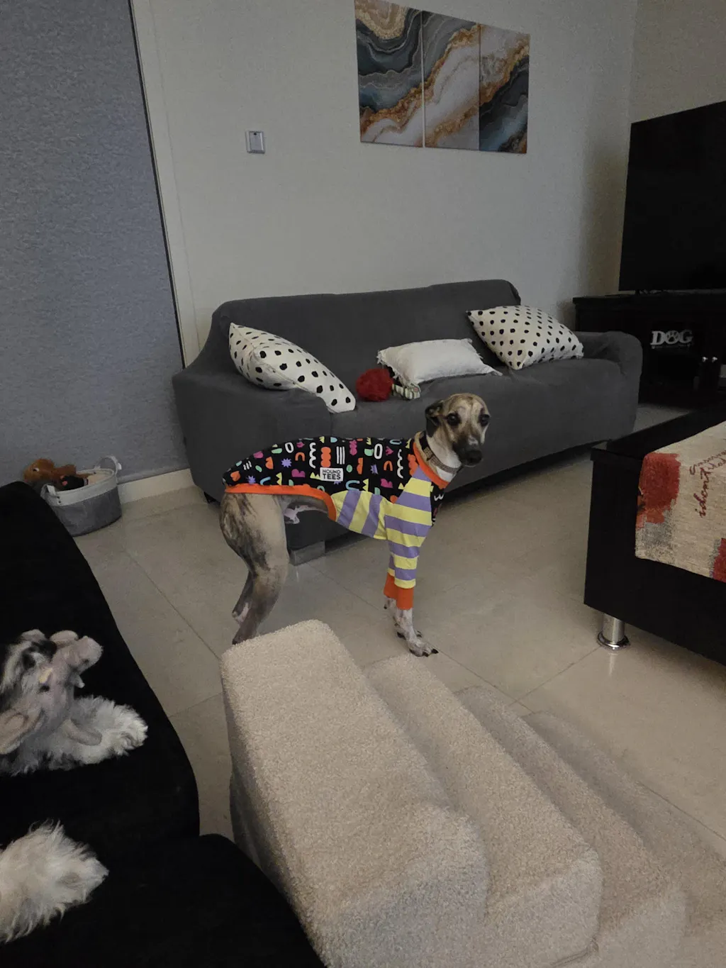 Doodle Noodle Whippet Long Sleeve Hound-Tee