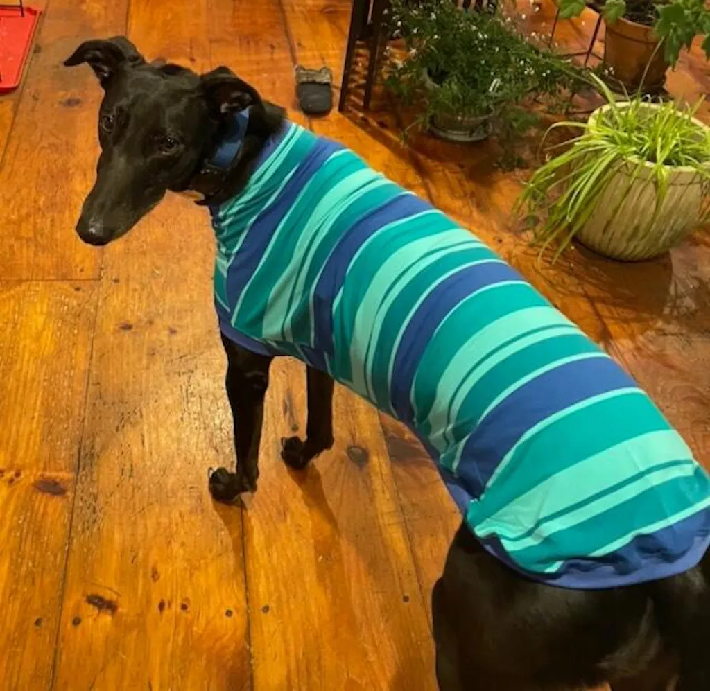 Dolly's Tee Teal Greyhound Sleeveless Hound-Tee
