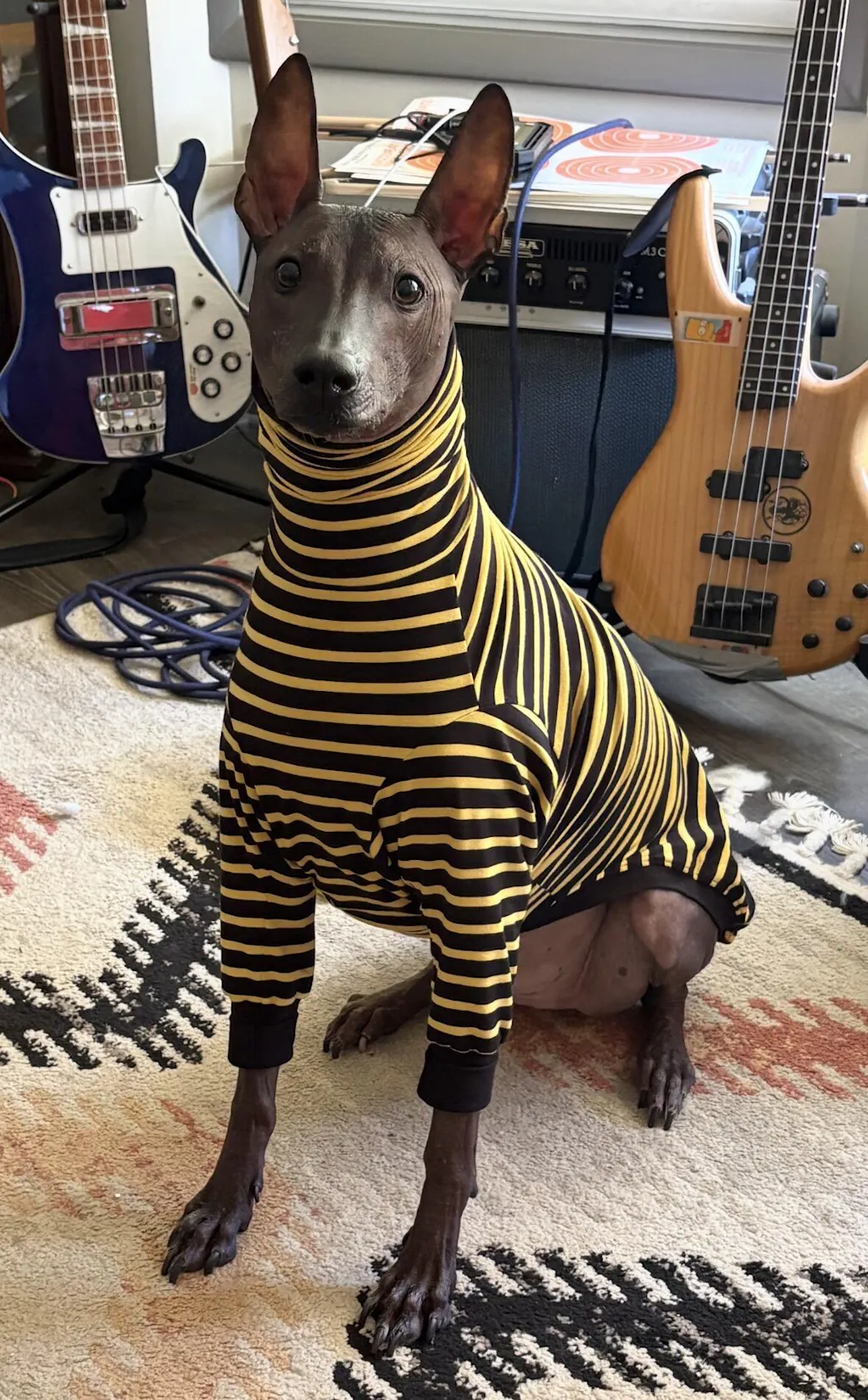 houndtees