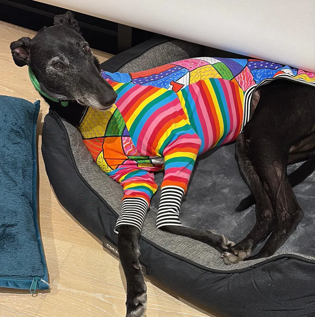 Patchwork Love Greyhound Long Sleeve Hound-Tee