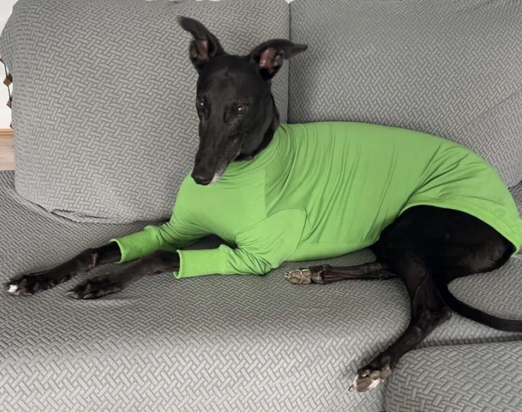 houndtees