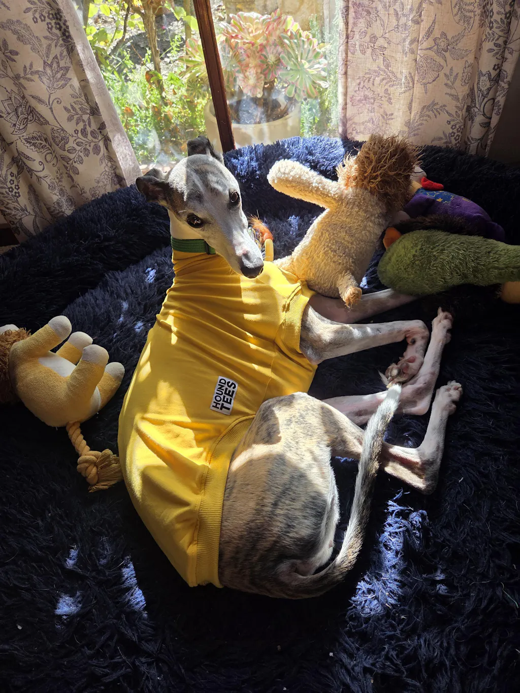 houndtees