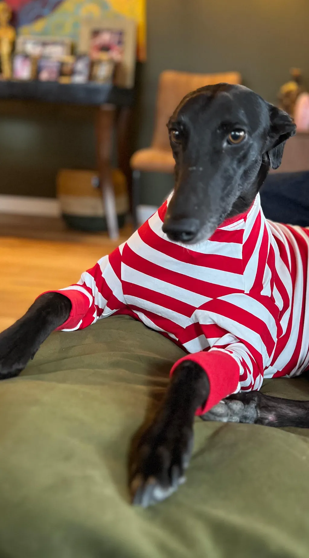 Wally Greyhound Long Sleeve Hound-Tee