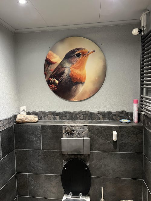 Robin 2 | Muurcirkel