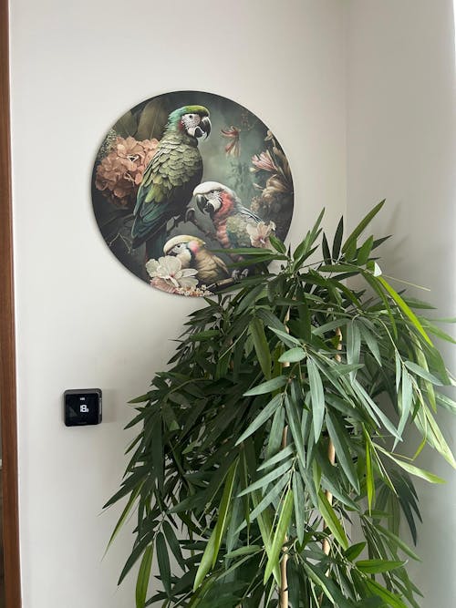 Floral Parrots 3 | Muurcirkel