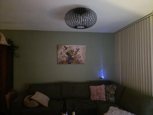 Bloemen Schotse hooglander 2 · Canvas